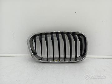 Griglia paraurti anteriore sx griglia radiatore b