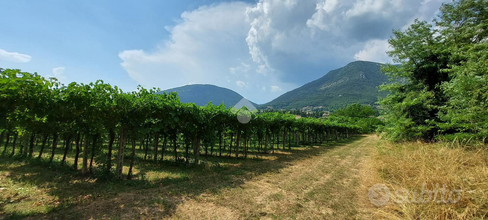 TER. AGRICOLO A CAPRINO VERONESE - Altro