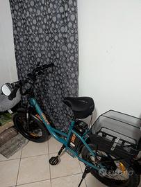 bicicletta elettrica 
