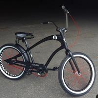 Bicicletta cruiser unica