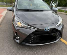Yaris active plus 11/2019
