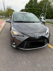 Yaris active plus 11/2019
