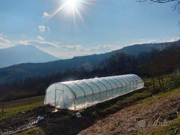 SERRE per agricoltura/Azienda che opera da 60 anni