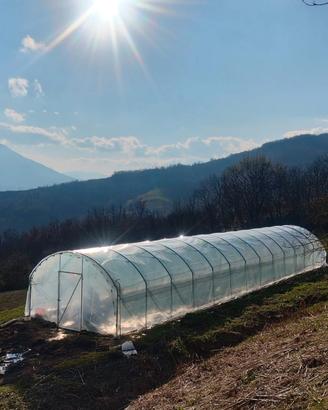 SERRE per agricoltura/Azienda che opera da 60 anni