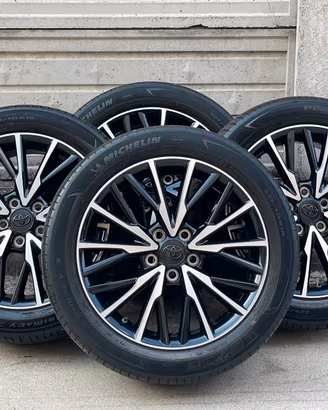 Cerchi in lega R18 BI COLORE
