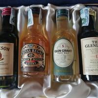 Miniature whisky in valigetta degustazione