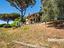 Immagine 14
