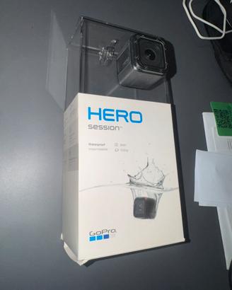 Go Pro Hero Session
