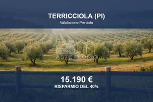 Immobile in asta di 16882 m² a Terricciola