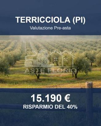 Immobile in asta di 16882 m² a Terricciola