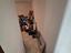 Immagine 27