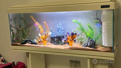 Acquario 100 lt