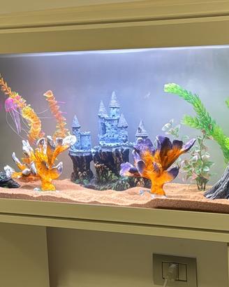 Acquario 100 lt
