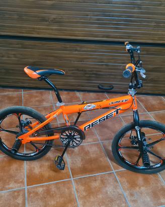Bici BMX  professionale 