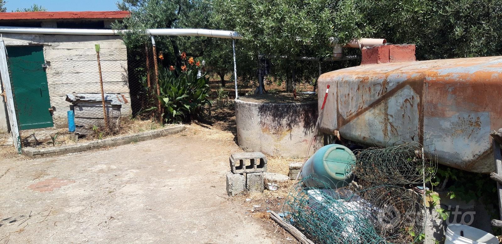 Terreno agricolo - Vista 3