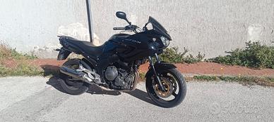 Yamaha TDM 900 - 2006