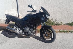 Yamaha TDM 900 - 2006