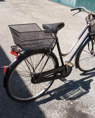 Bici con raggio 26