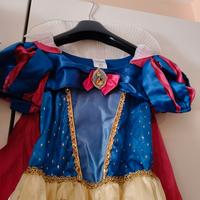 Vestito carnevale