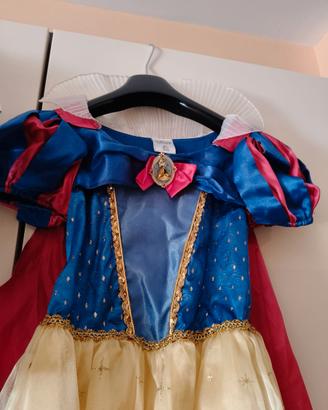 Vestito carnevale