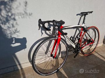 Wilier Izoard (M) in carbonio Campagnolo Chorus