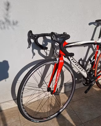 Wilier Izoard (M) in carbonio Campagnolo Chorus