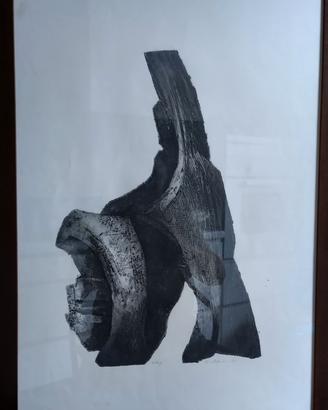 Stampe di artista Nicola Zamboni