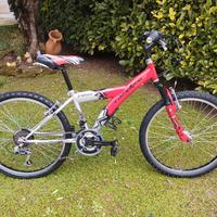MTB Grandis 24 pollici Shimano 