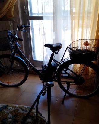 bicicletta elettrica 
