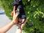 Immagine 2