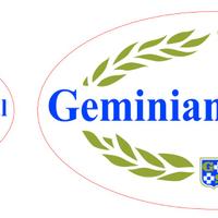 Adesivi Geminiani