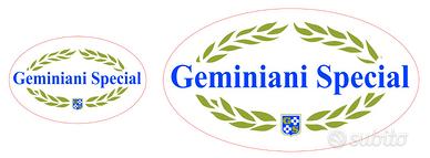 Adesivi Geminiani