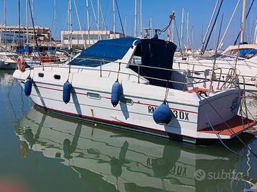barca a motore 