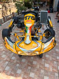 kart TK kart 125 pronto pista
