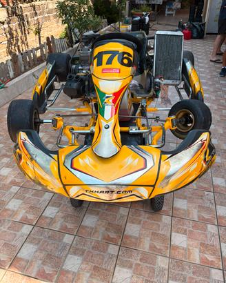 kart TK kart 125 pronto pista