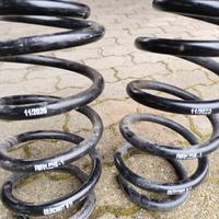 Molle Goldschmidt m11