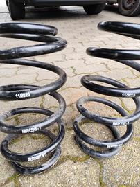 Molle Goldschmidt m11