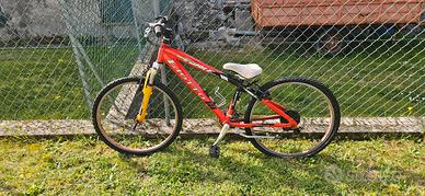bicicletta