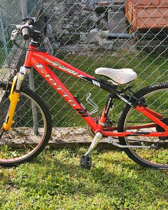 bicicletta