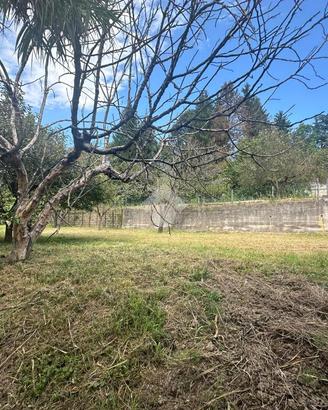 TER. AGRICOLO A TORINO