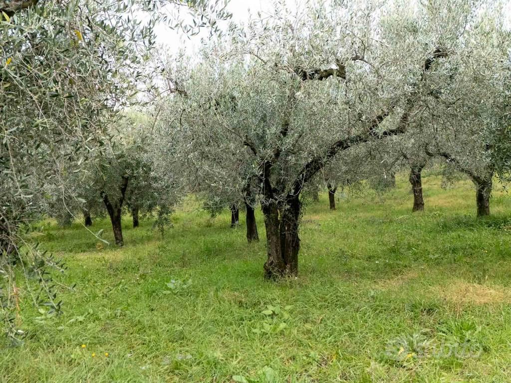 Terreno di 4160 m² a Poggio Nativo - Altro