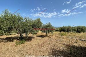 Terreno, Santa Flavia.