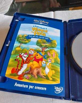 DVD il magico mondo di Winnie the Pooh