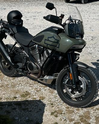 Harley davidson Pan America Special 2021