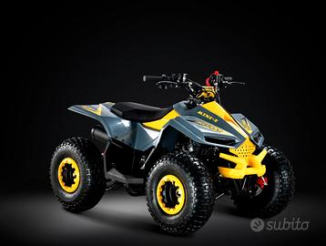 Mini quad elettrico - 750 w