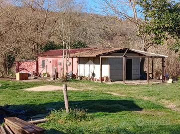 CASA DI CORTE A OLEVANO ROMANO