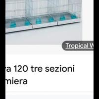 Gabbioni Domus molinari 