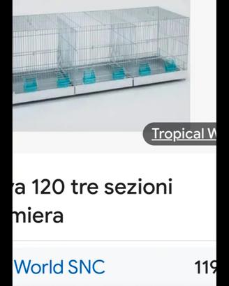 Gabbioni Domus molinari 