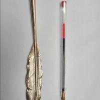 penna stilografica '800'