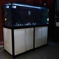 Acquario Discus 160x70x60h con mobile acciaio 90h